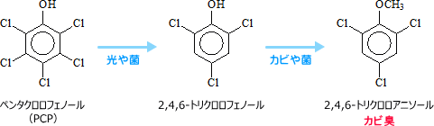 図1．リャド、リオ臭原因物質の生成（農薬）