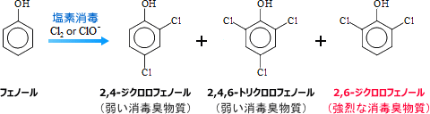 図1．消毒臭やカルキ臭の発生メカニズム