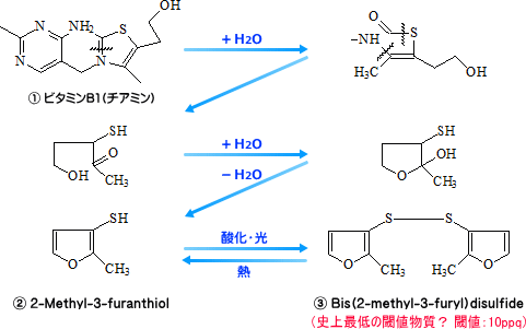 図1.ビタミンB1の分解経路
