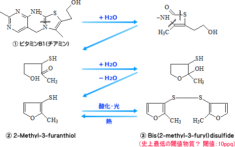 図1．ビタミンＢ１の分解経路