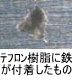 異物同定例:テフロン樹脂に鉄が付着したもの