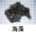 異物同定例:海藻