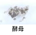 異物同定例:酵母