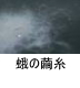 異物同定例:蛾の繭糸