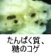 異物同定例:たんぱく質、糖のコゲ