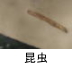 異物同定例:昆虫